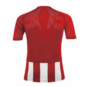 Tricou Johan - imagine 66