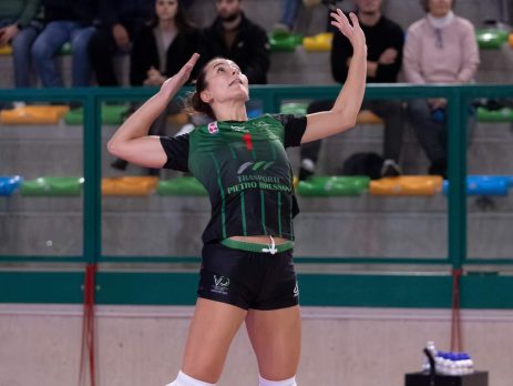 Volei